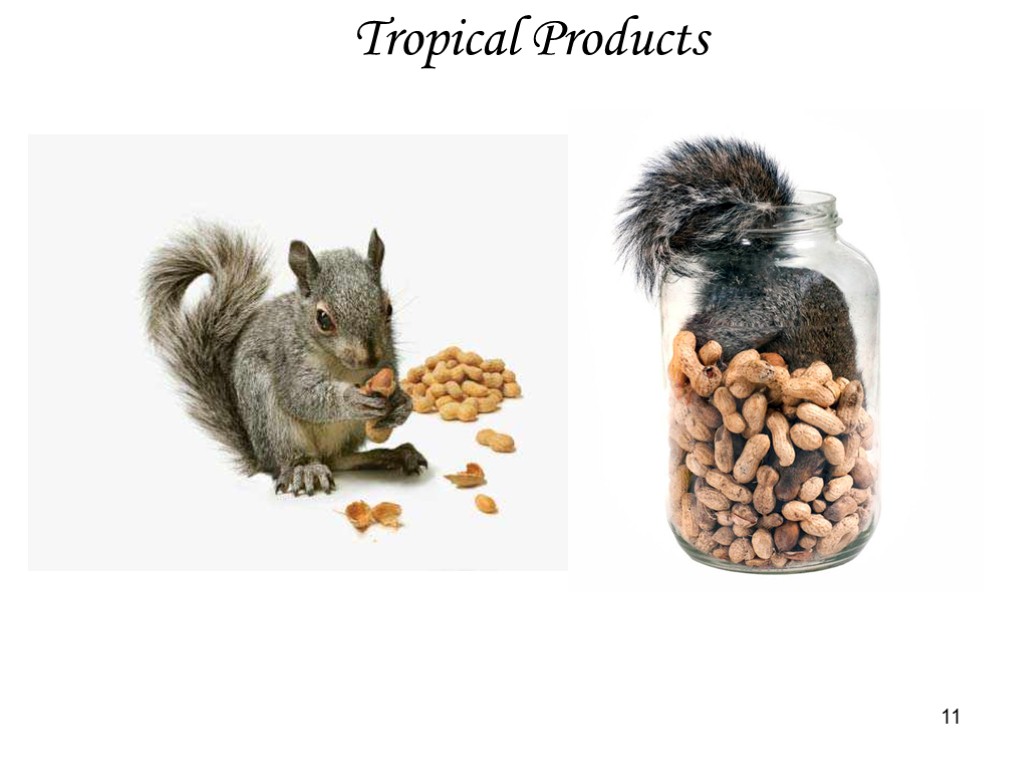 Tropical Products 11